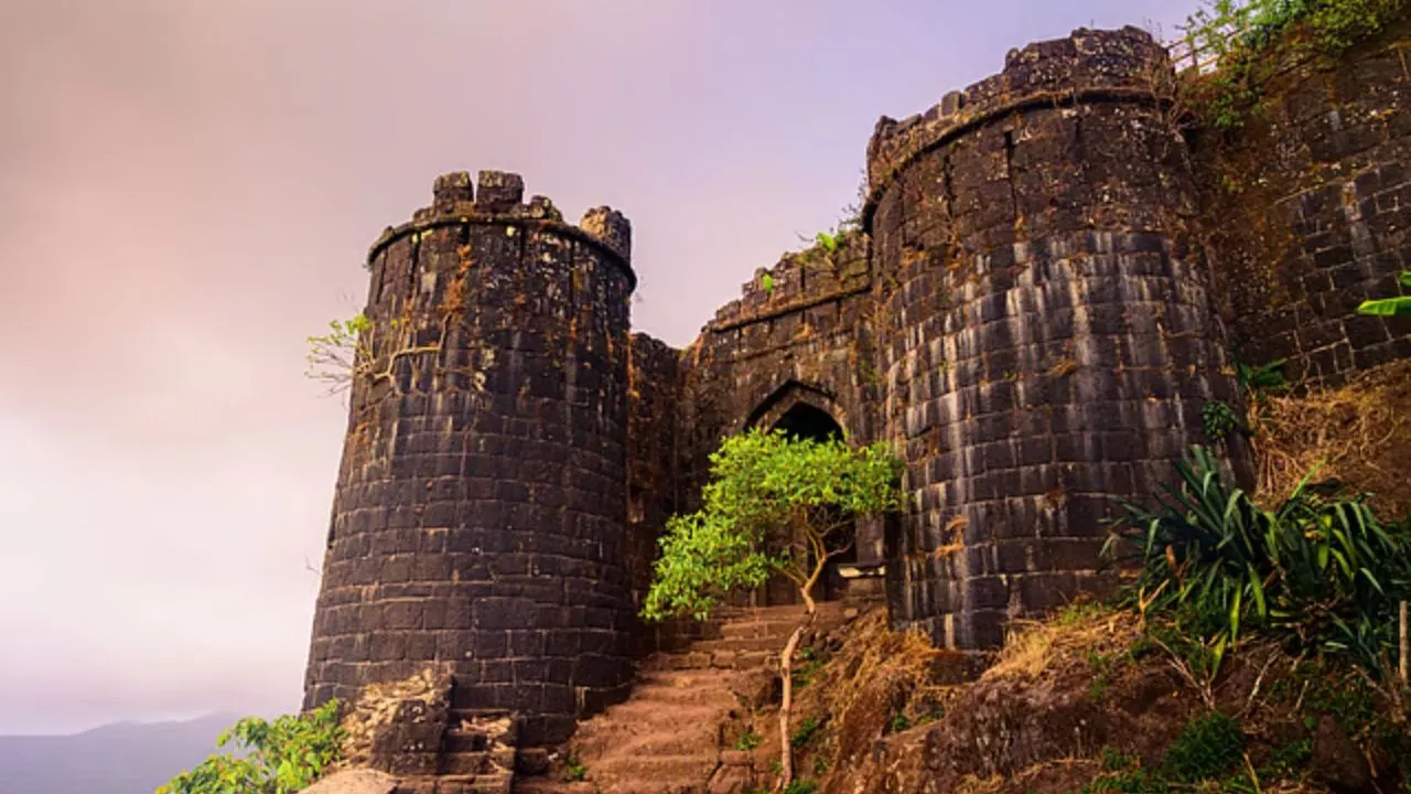 Aman vaishnav (4)
