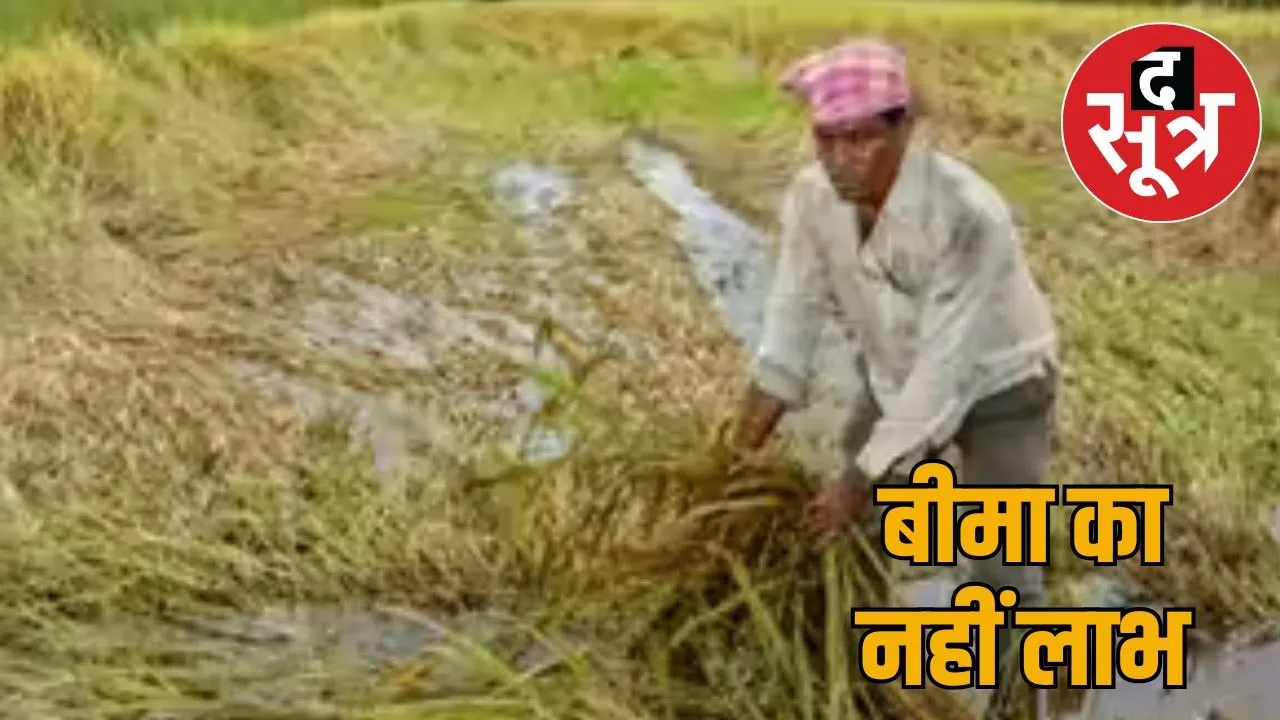 pradhanmantri-fasal-bima-yojana-no-benefits-farmers-rajasthan
