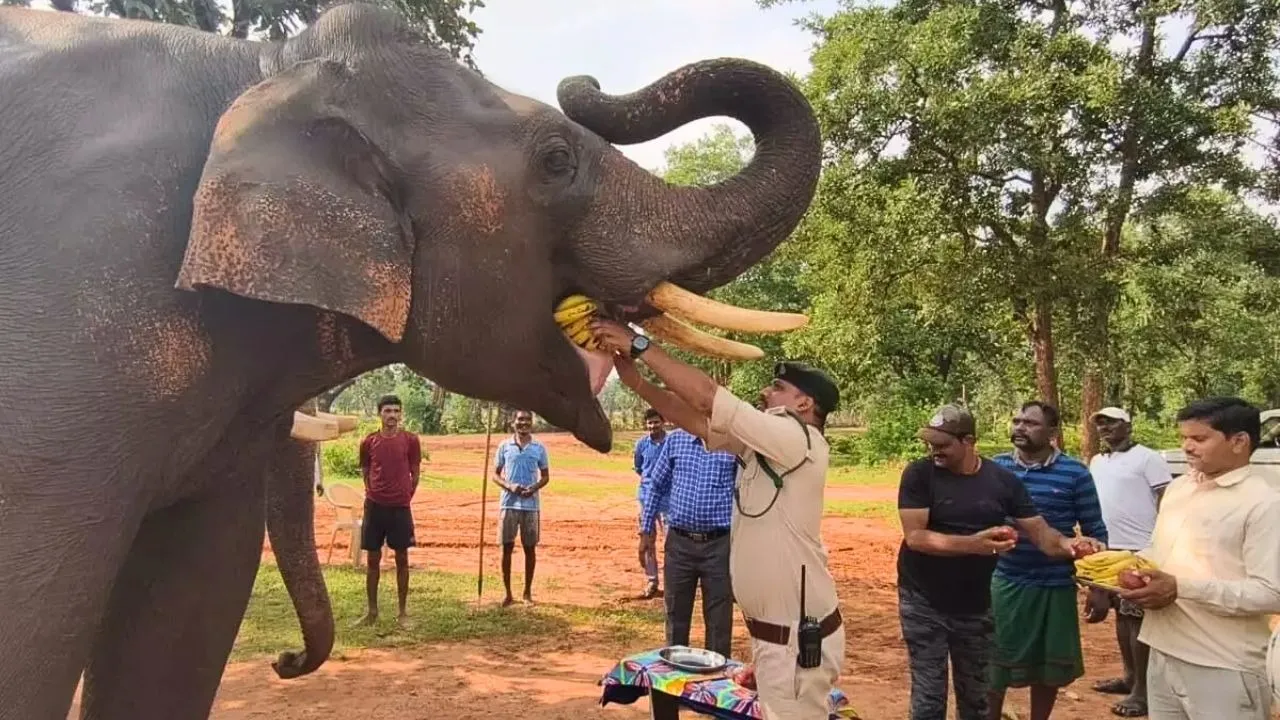 Aman vaishnav (68)