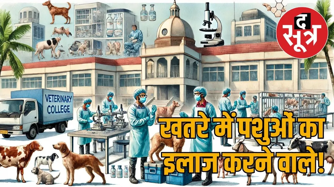 animal raj