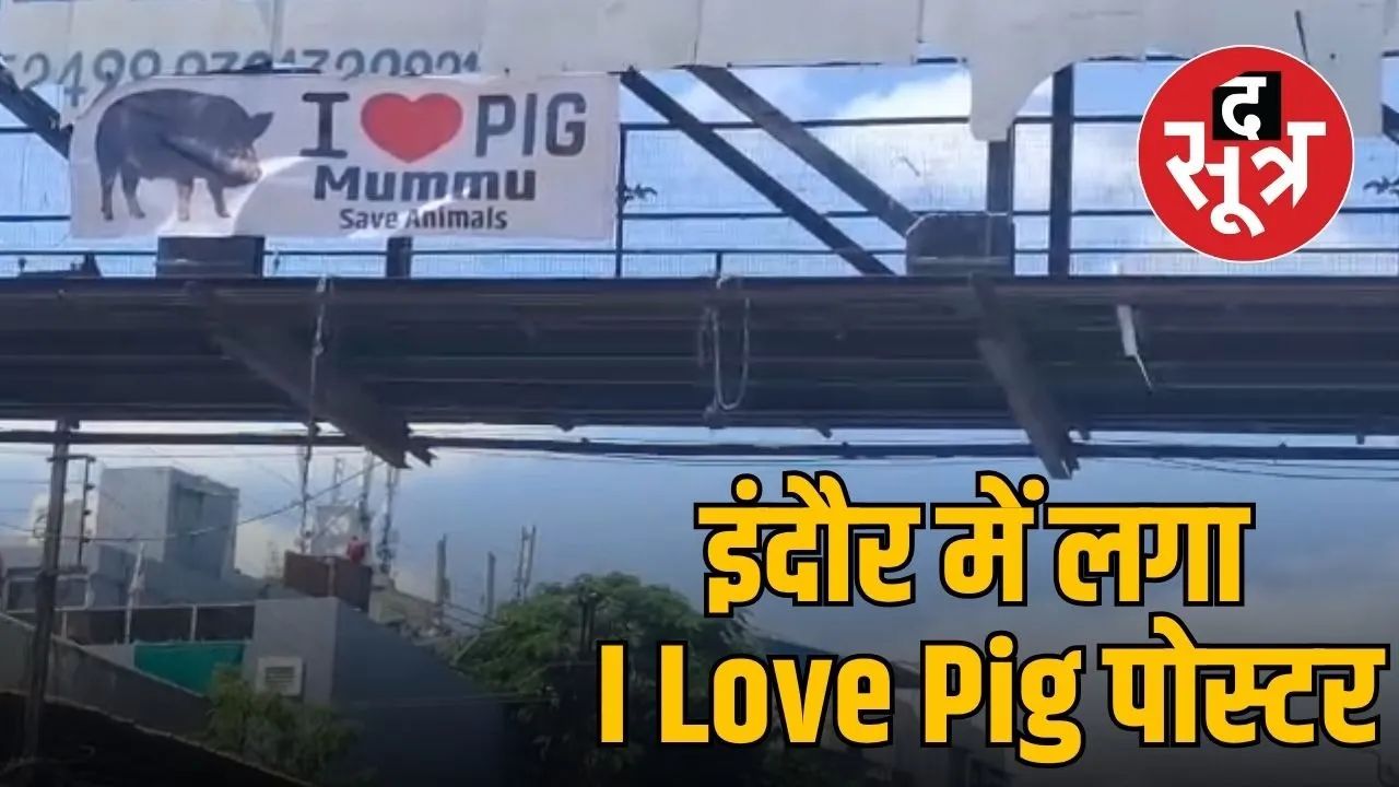 i-love-pig-posters-controversy-indore-2025