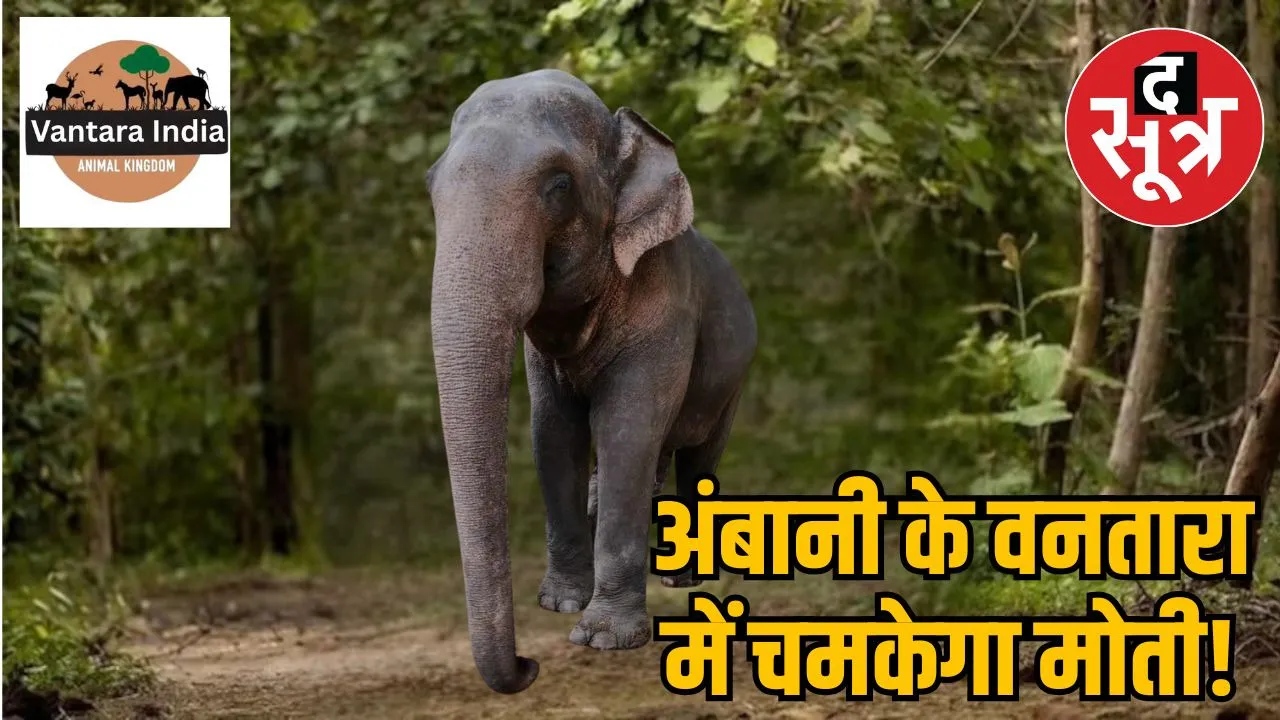 anant-ambani-vantara