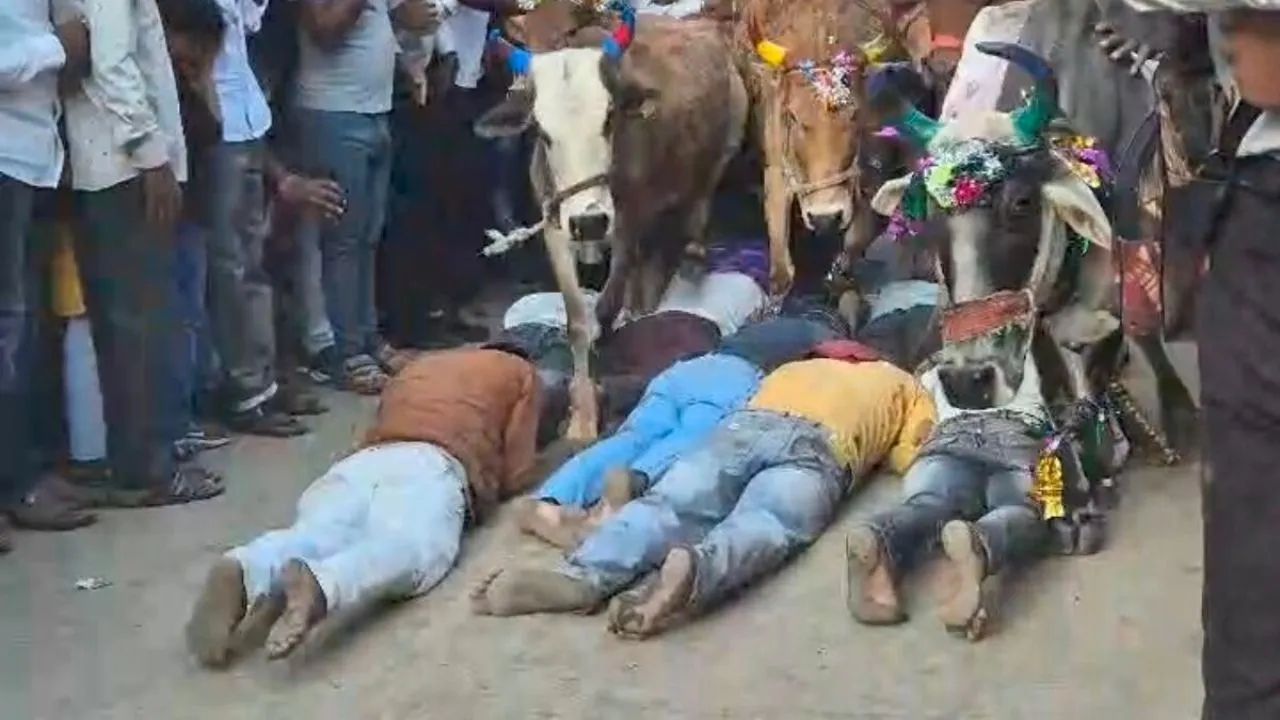 Aman vaishnav (31)