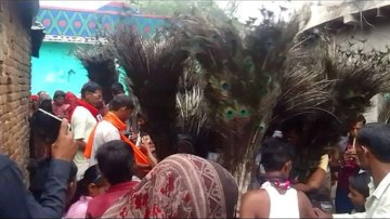 Aman vaishnav (32)