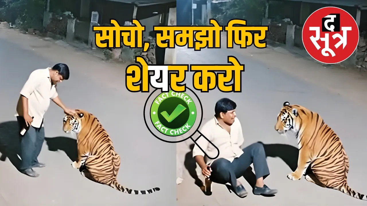 pench-tiger-reserve-bagh-viral-video