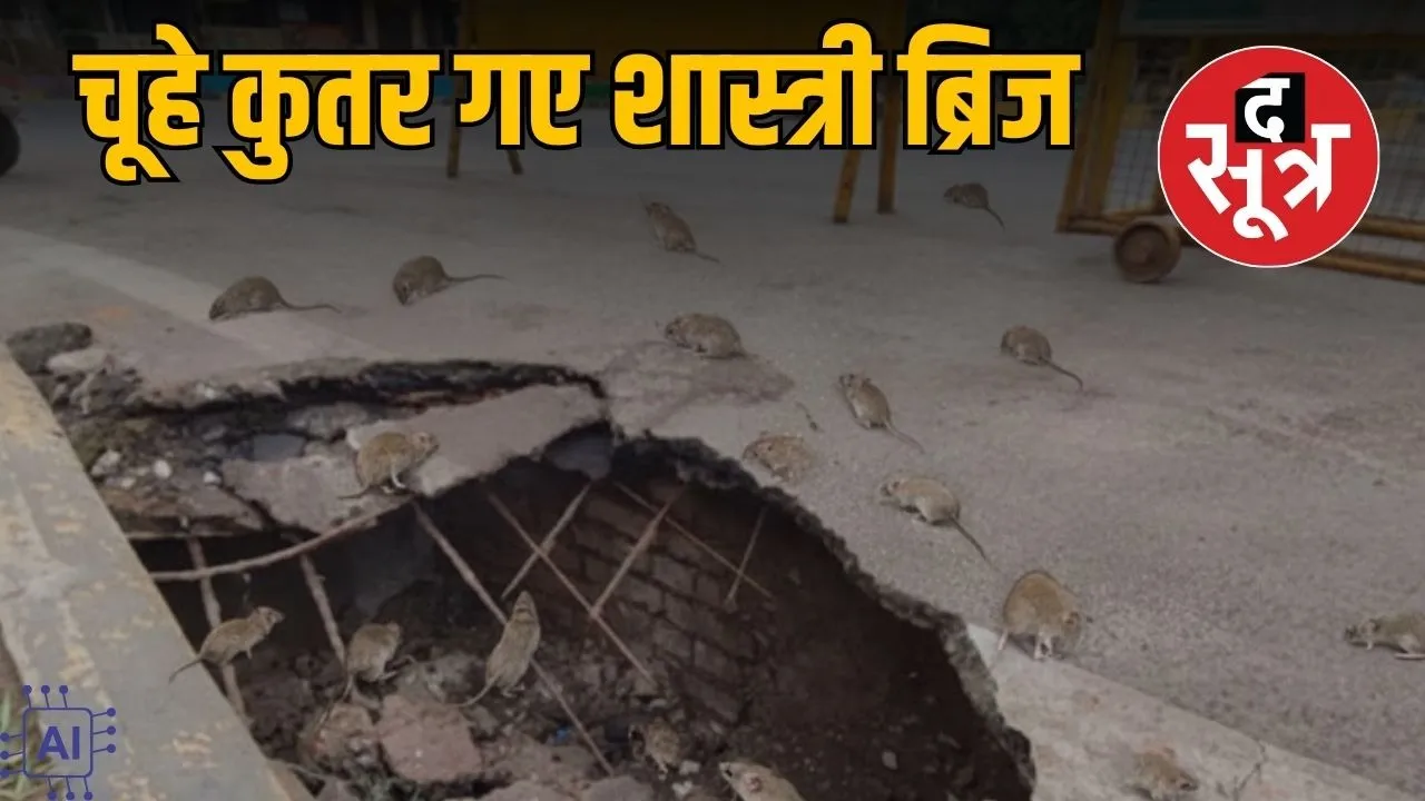 indore-new-rat-incident-shastri-bridge