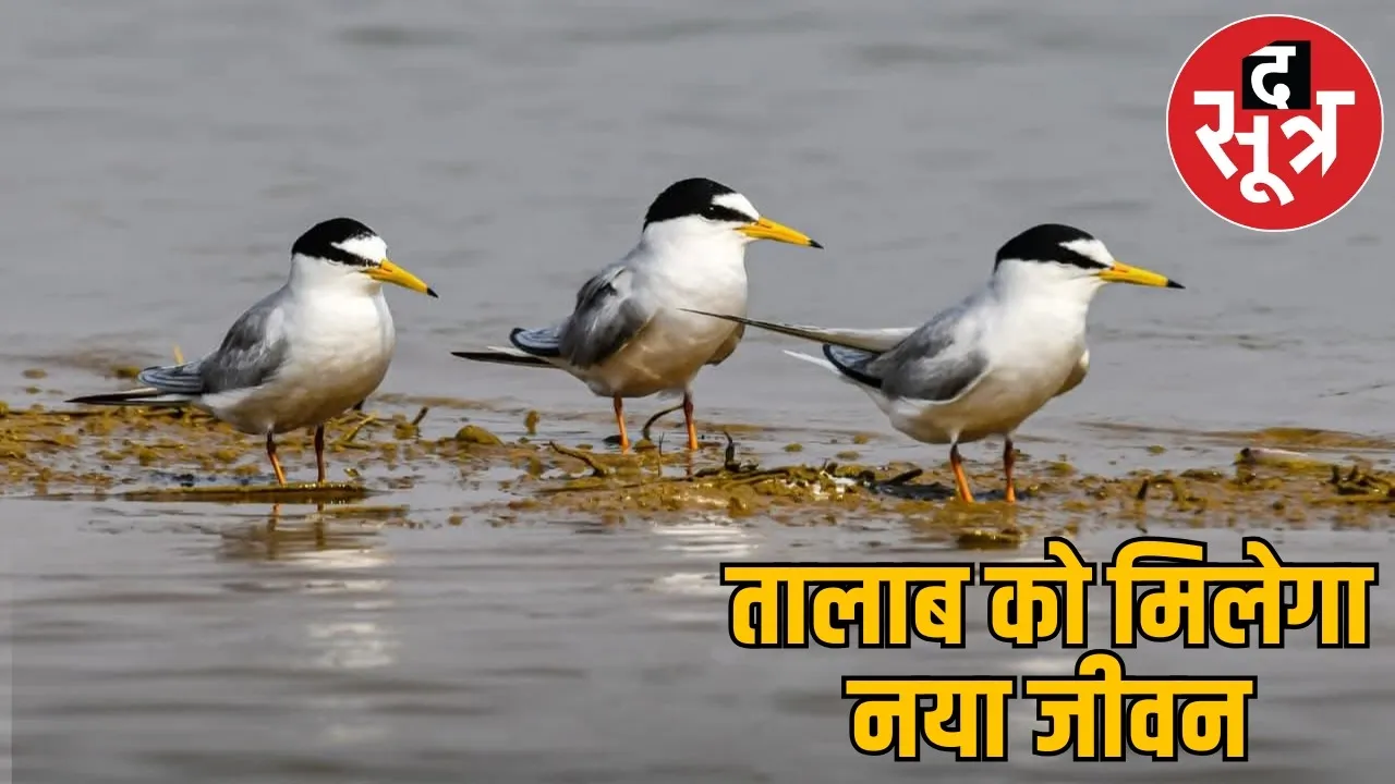 koapra-reservoir-proposed-ramsar-site-chhattisgarh-bilaspur