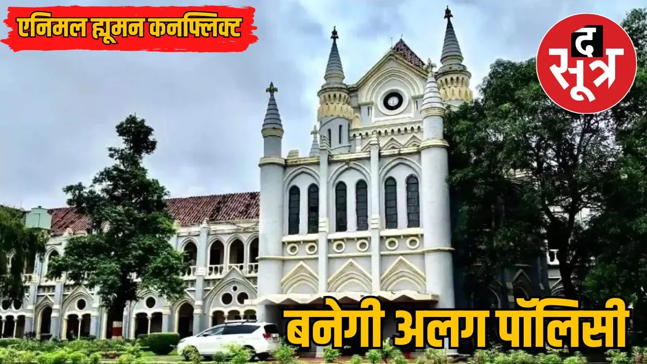 wildlife-deaths-electric-shock