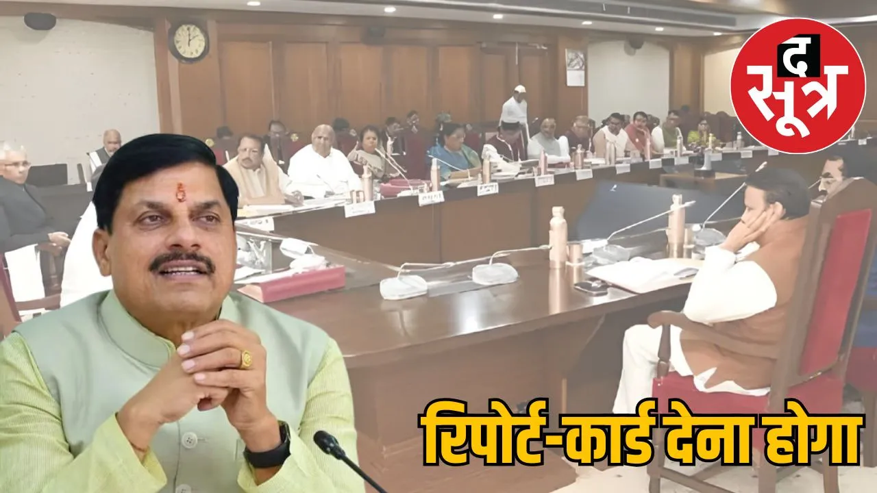 mp-high-level-review-process