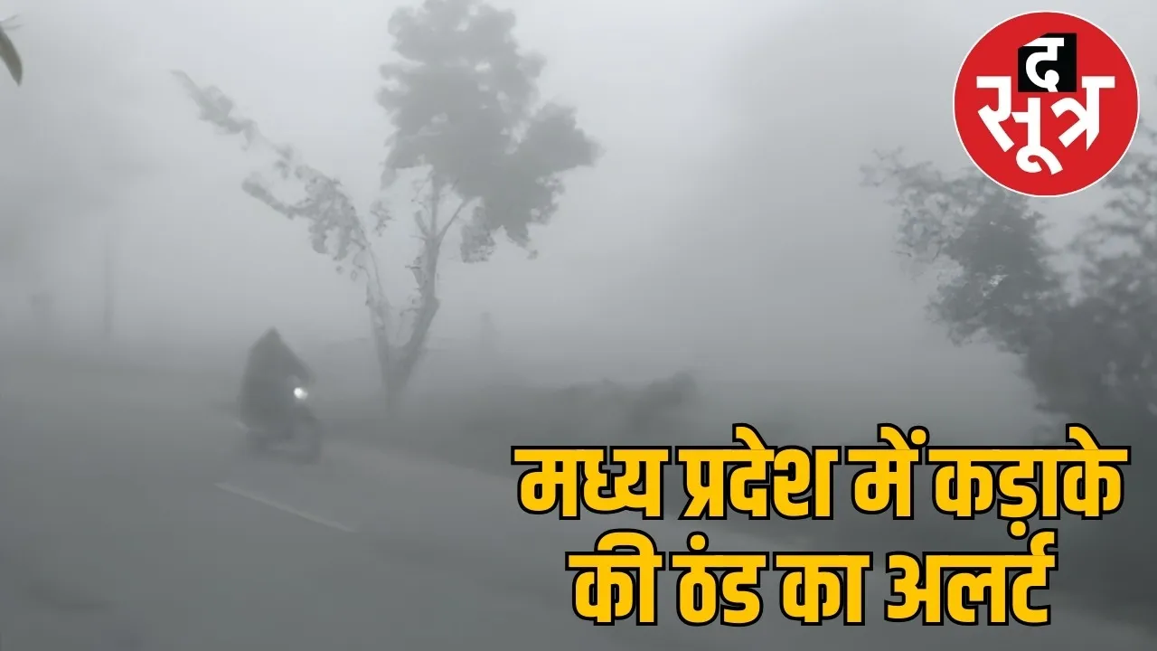 सर्दी का अलर्ट