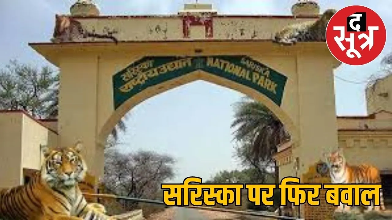 sariska