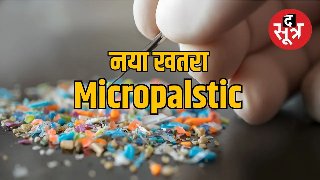 namak-chini-me-micropalstic-khatra-toxics-link-adhyayan-2025