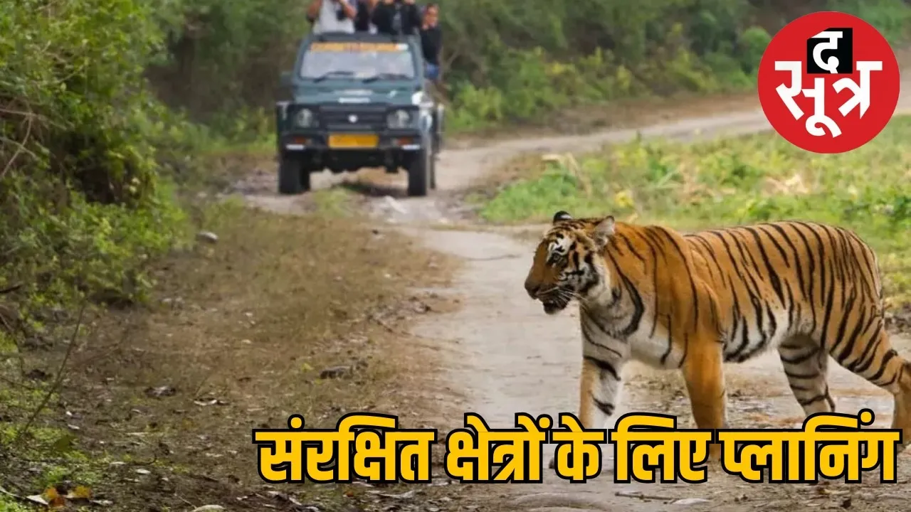 mp tiger reserve