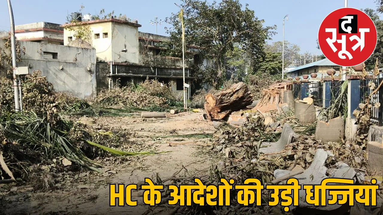 highcourt-building-trees-cut