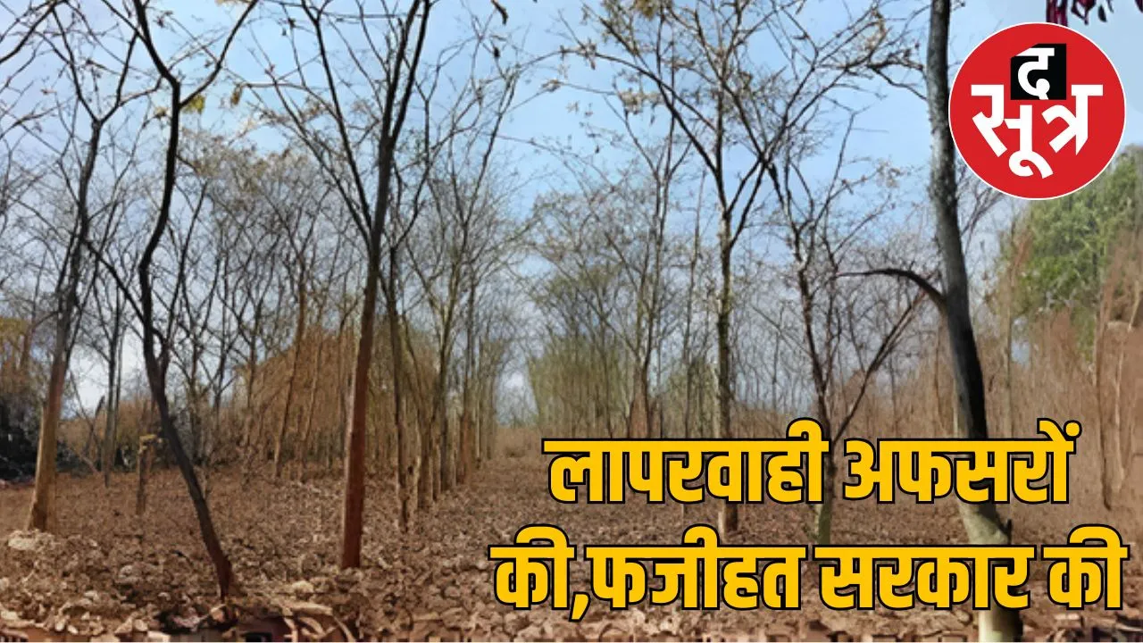 mp-forest-department