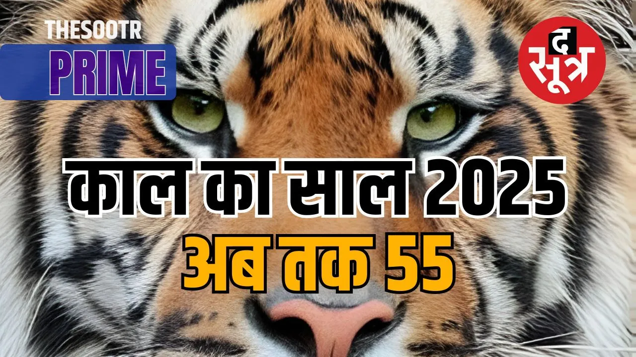 55 tiger deaths mp 2025