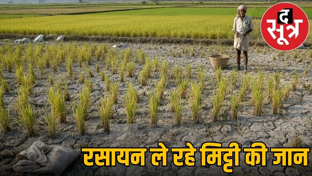 chhattisgarh farmland soil health