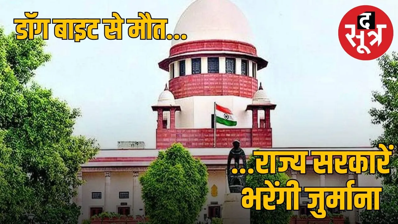 Now heavy fine for every dog ​​bite and death