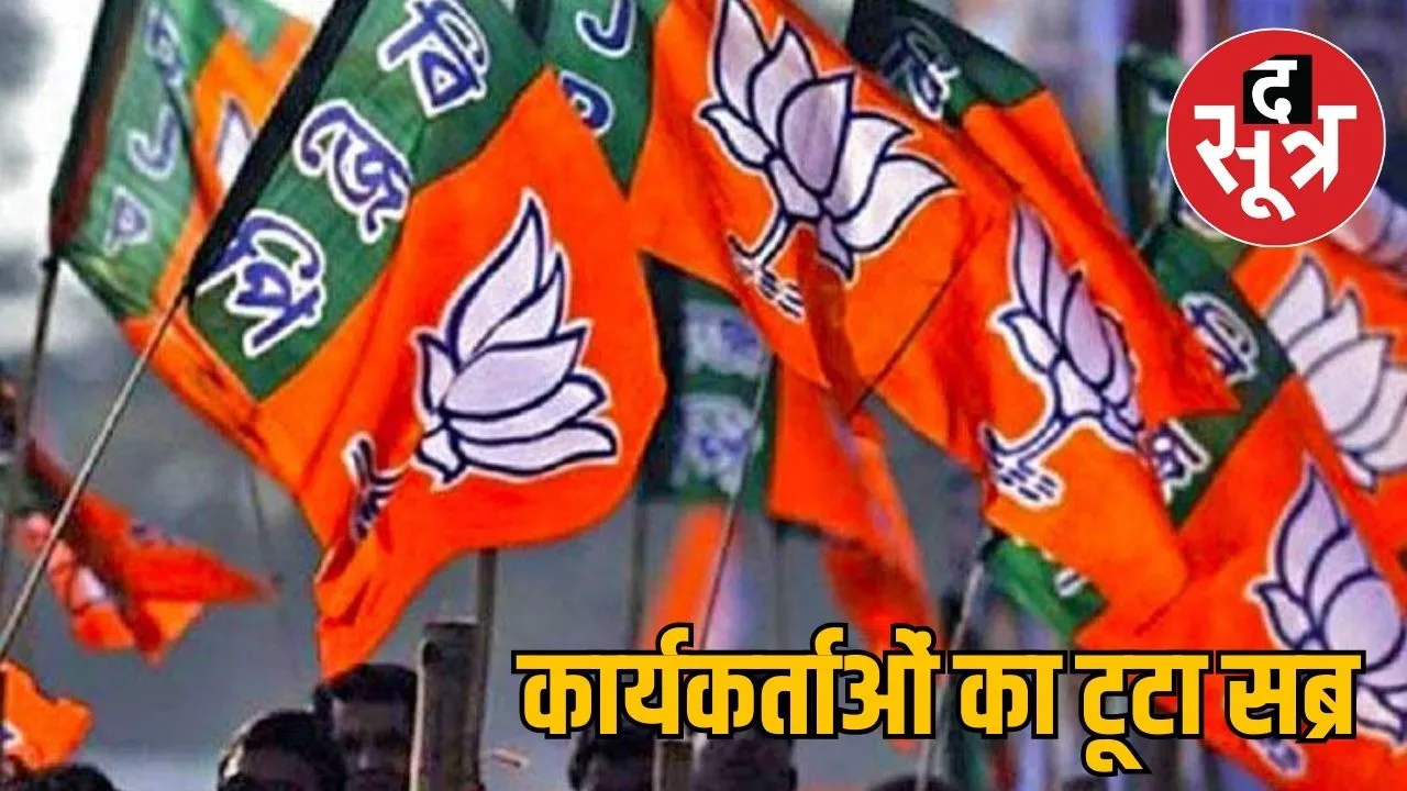 bjp organization crisis
