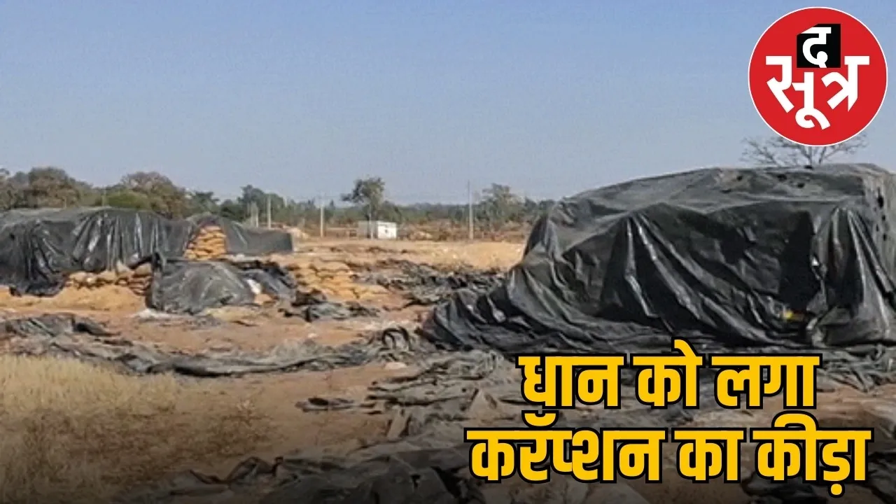 cg-paddy-scam-800-crore-rice-damaged-in-five-years