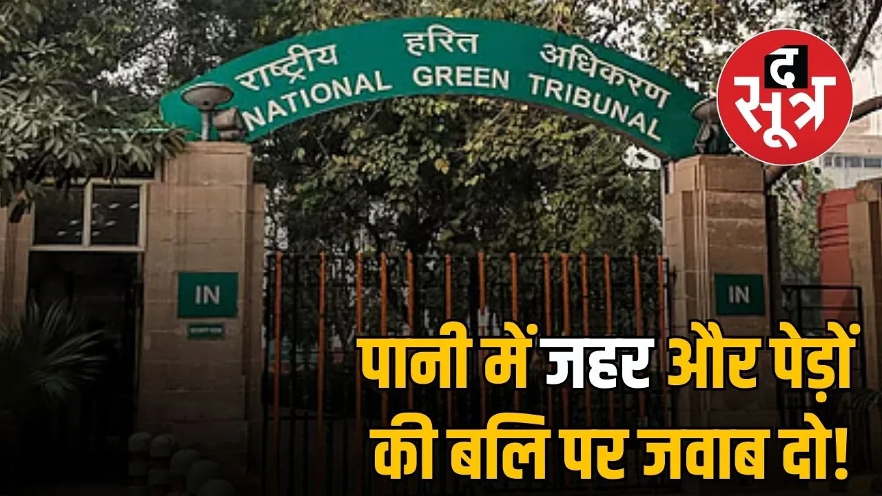 ngt to mp government