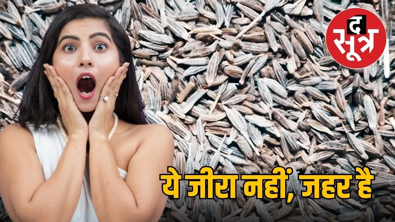 gwalior-fake-cumin-adulteration-case-update