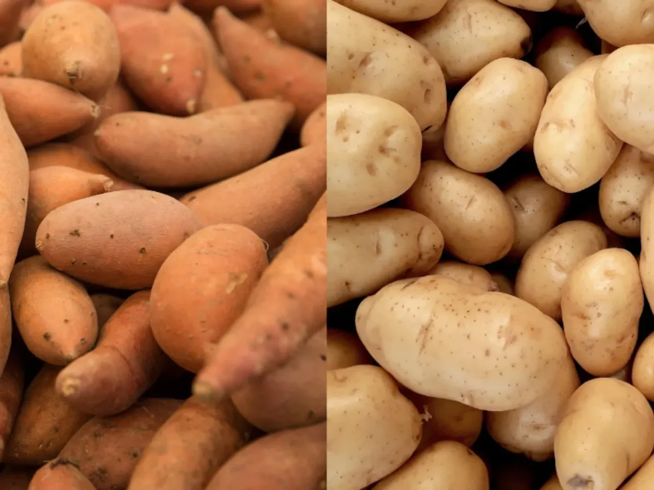 sweet-potato-vs-white-potato-1