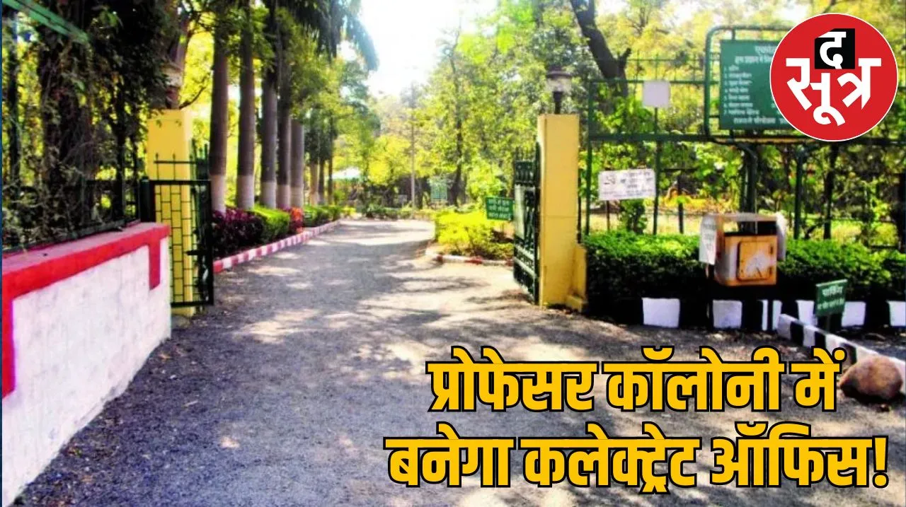  प्रोफेसर कॉलोनी 