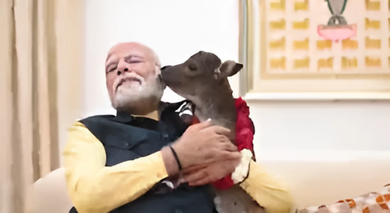 पीएम 