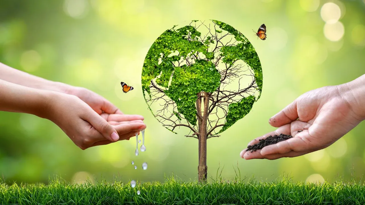 nature (2)1690452943840