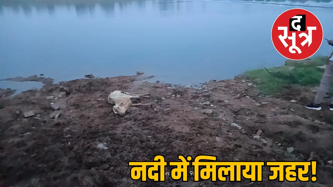 द सूत्र