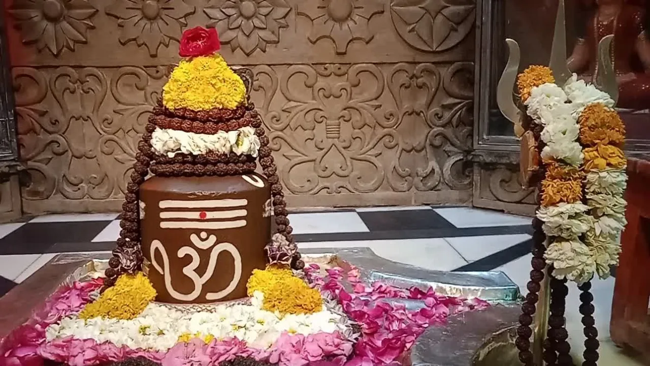 ््