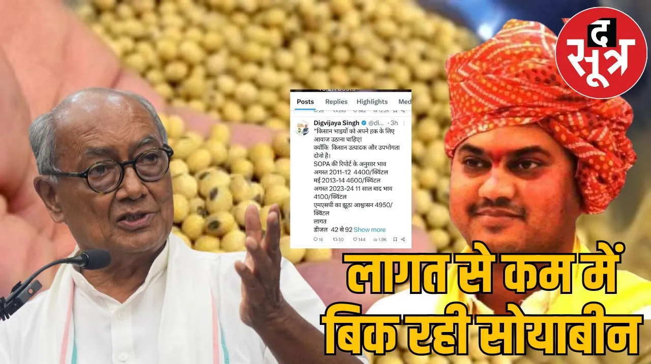 सोयाबीन स्टेट 