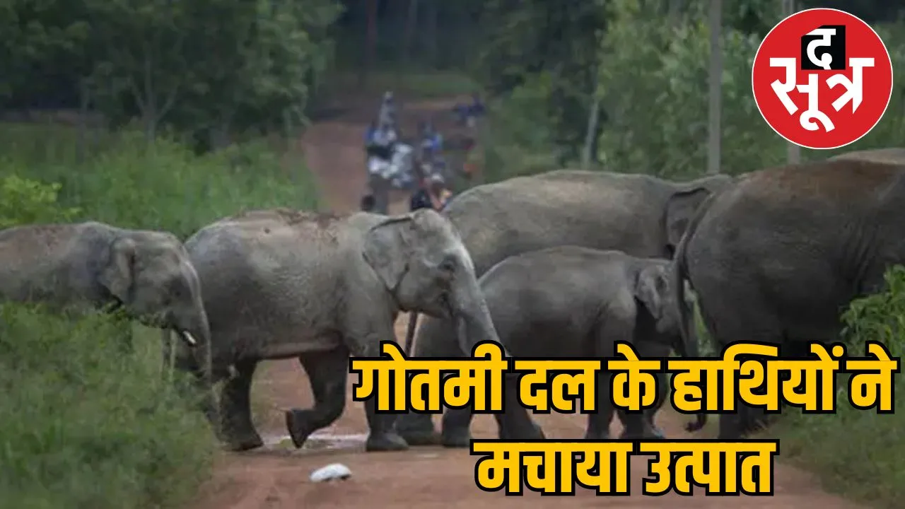 CG Elephant Attack elephants herd destroyed 7 houses