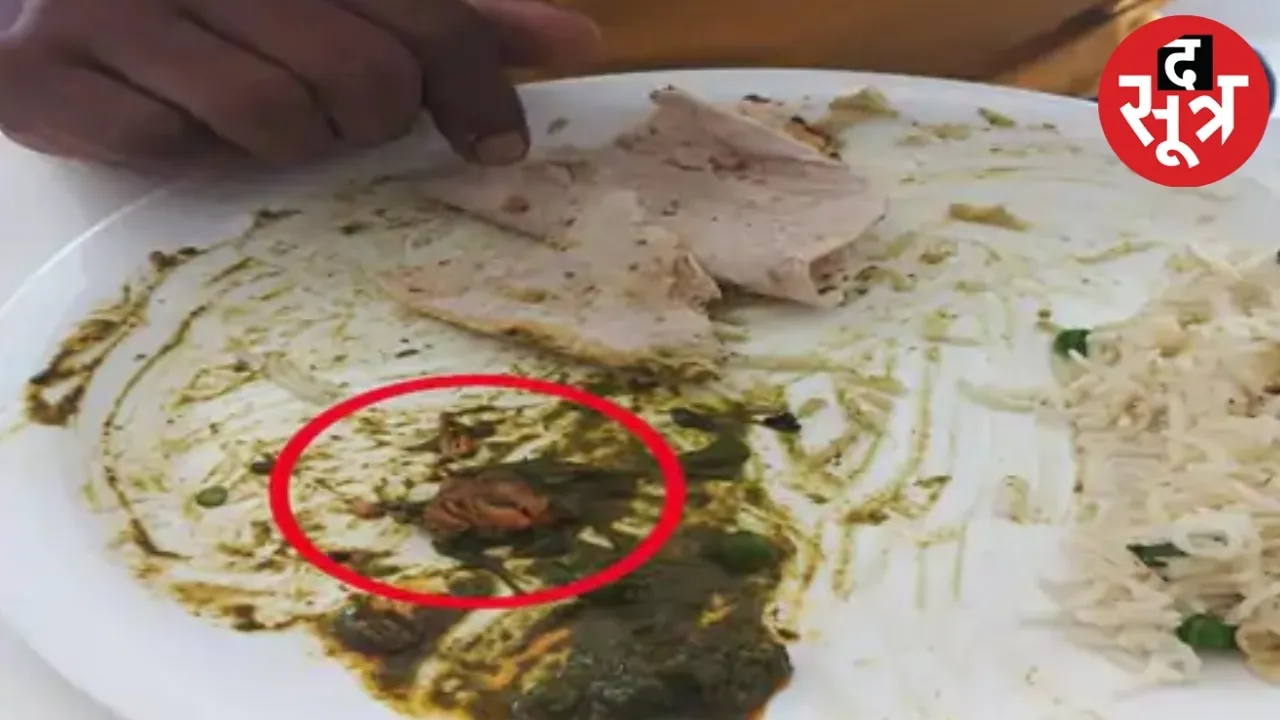 nonveg found in veg food