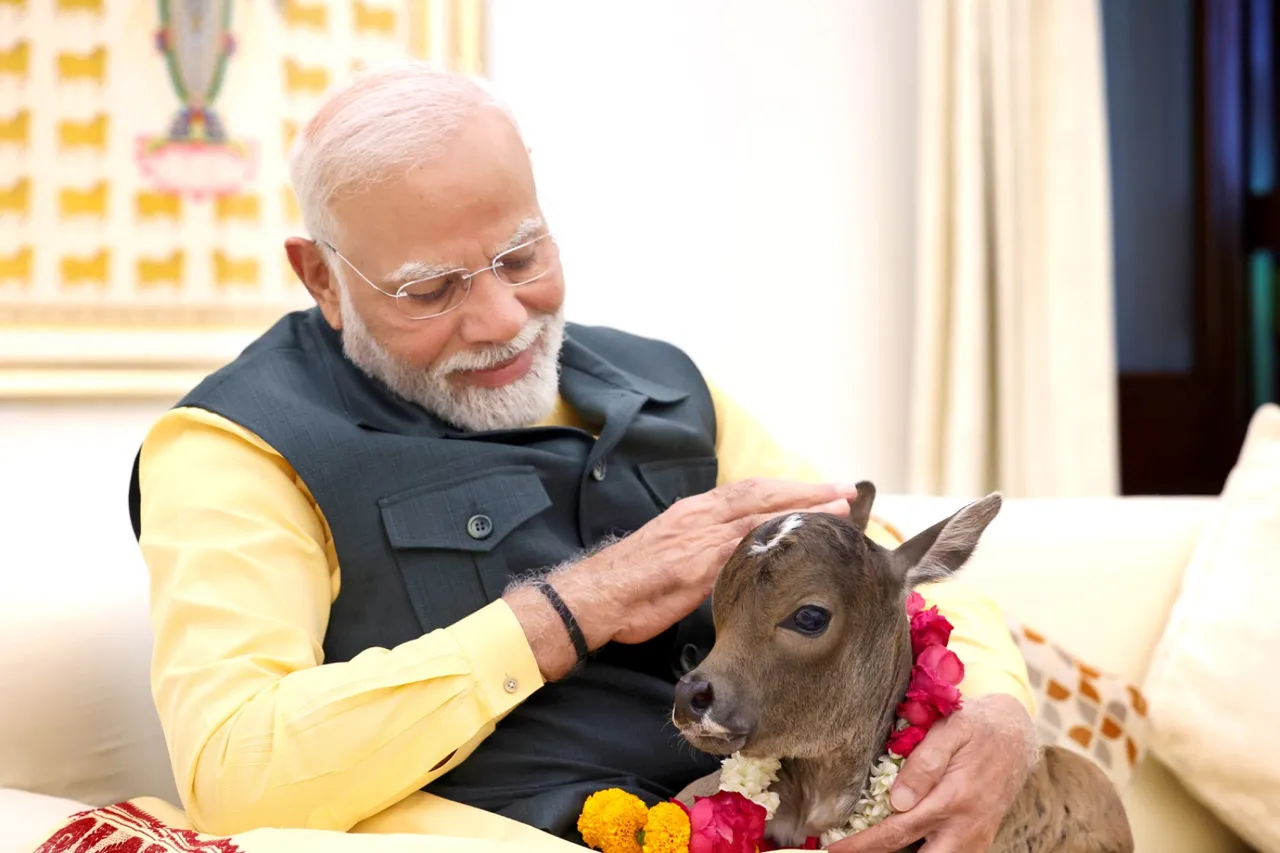 प्रधानमंत्री नरेंद्र मोदी ने एक्स पर एक वीडियो पोस्ट किया है, जिसमें वो पीएम हाउस में गाय के बच्चे के साथ दिख रहे हैं। 