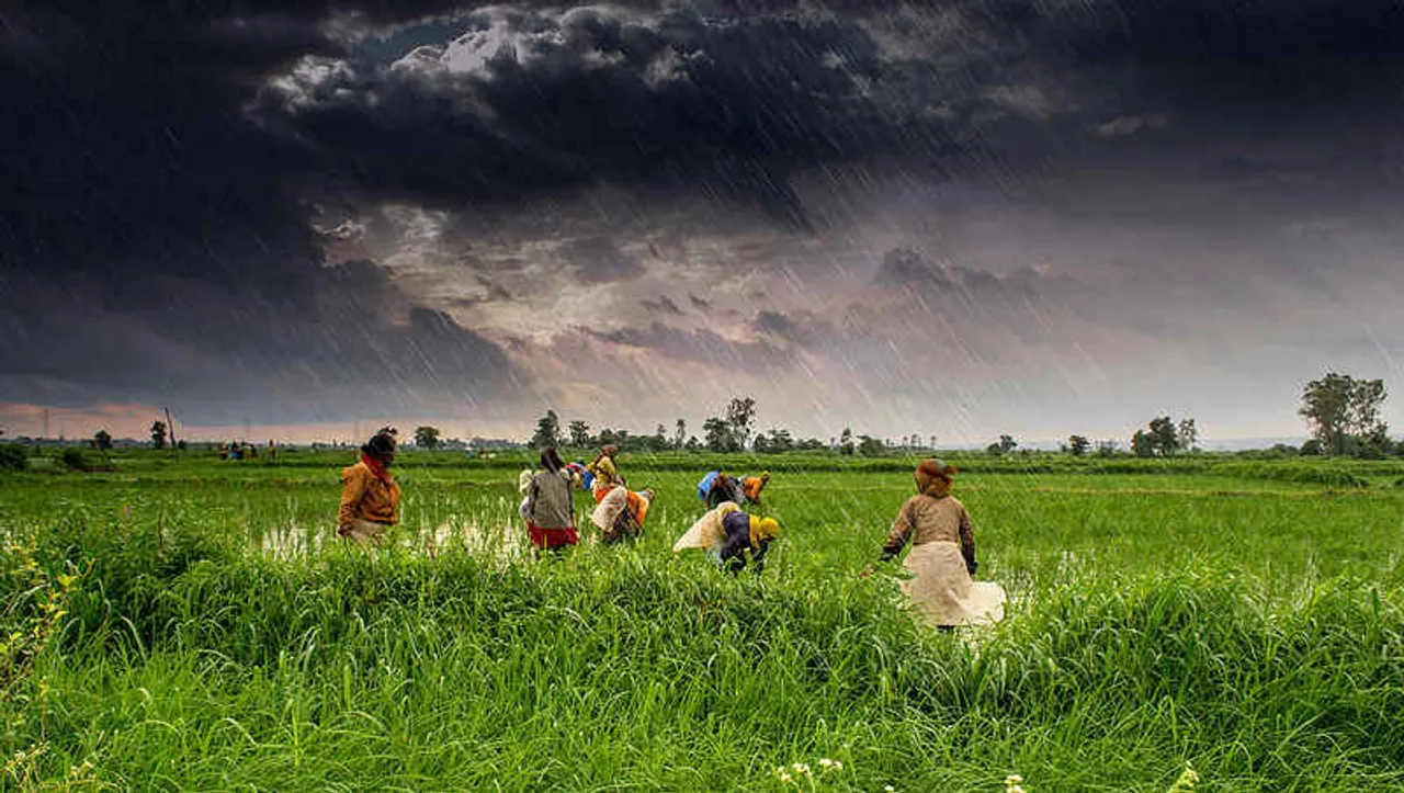 Monsoon3