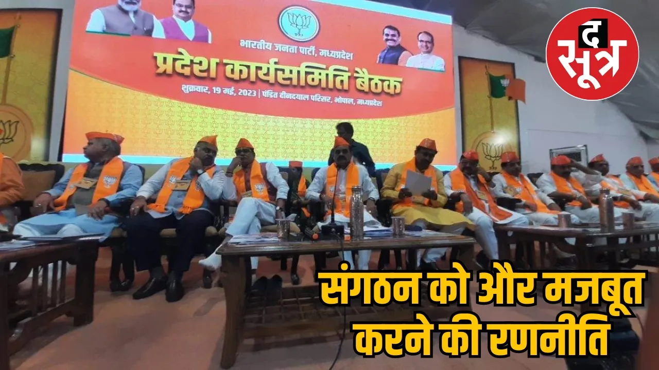 State Working Committee meeting BJP