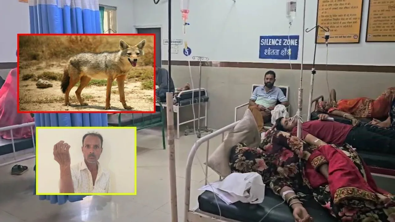 MP Sehore jackal attack 6 People seriously injured