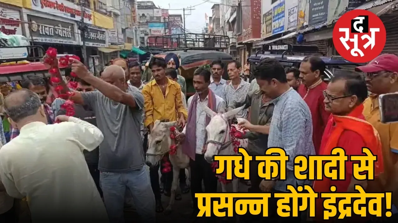 छतरपुर में करवाई गधे की शादी