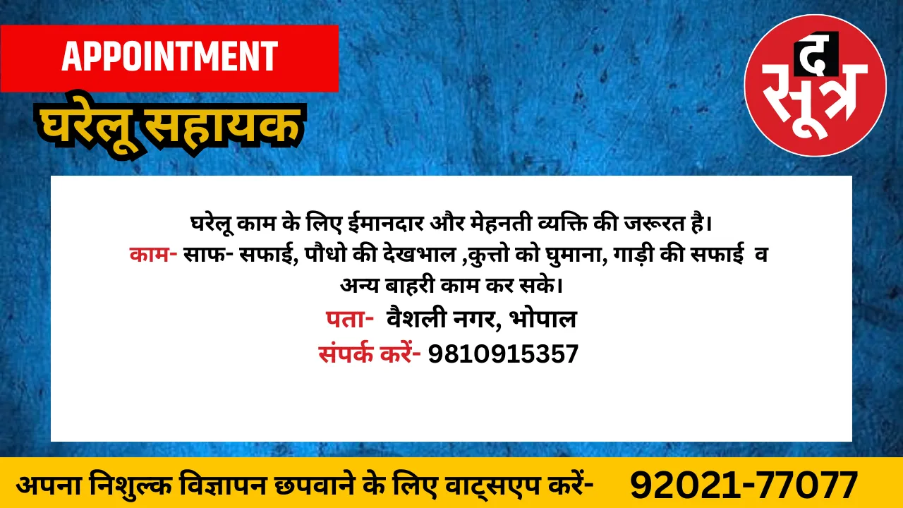 घरेलू सहायक