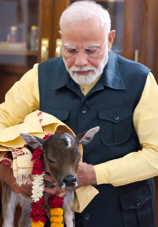 पहले भी प्रधानमंत्री आवास से पीएम मोदी के गाय के साथ वीडियो और तस्वीर सामने आते रहे हैं। लेकिन इस गाय के बच्चे के साथ पीएम मोदी का वीडियो काफी वायरल हो रहा है। 