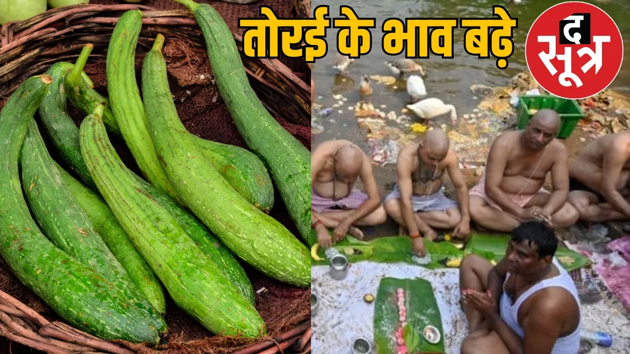 Chhattisgarh Pitrupaksha green vegetable price increased the sootr