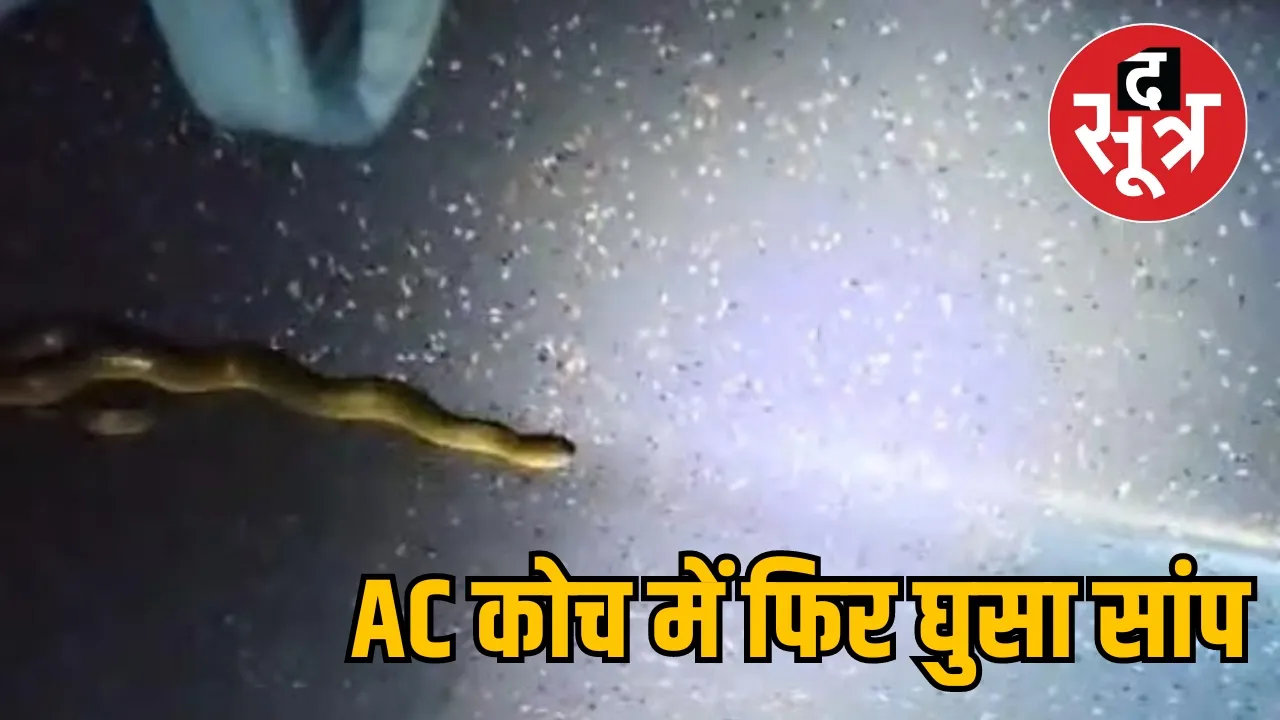 Snake entered AC coach
