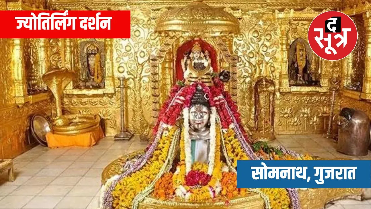 विव