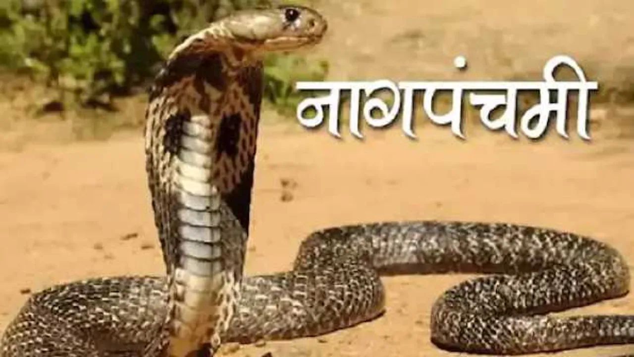 
नाग पंचमी: जाने कब है नाग पंचमी, क्या है शुभ मुहूर्त और पूजन की विधि
