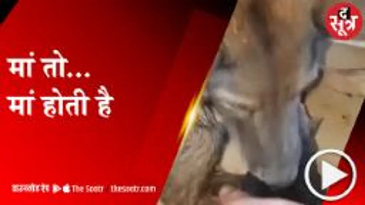 VIRAL: अपने बच्चे को बचाने मां की जद्दोजहद