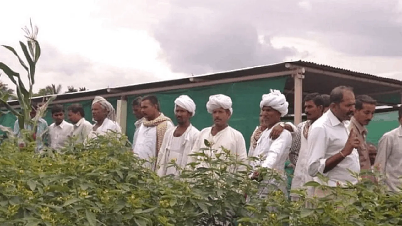 बदहाल खेती की बदली तस्वीर: पहले नुकसान झेला, अब 12 एकड़ जमीन से सालाना कमा रहे 35 लाख