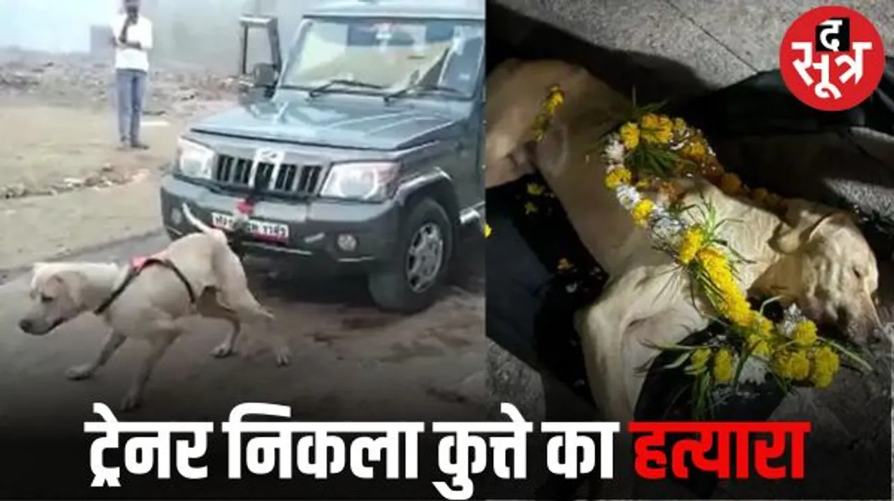 भोपाल में ट्रेनर ने की थी पाकिस्तानी बुली डॉग को फंदे पर लटकाकर उसकी हत्या, सीसीटीवी फुटेज आए सामने, मामला दर्ज