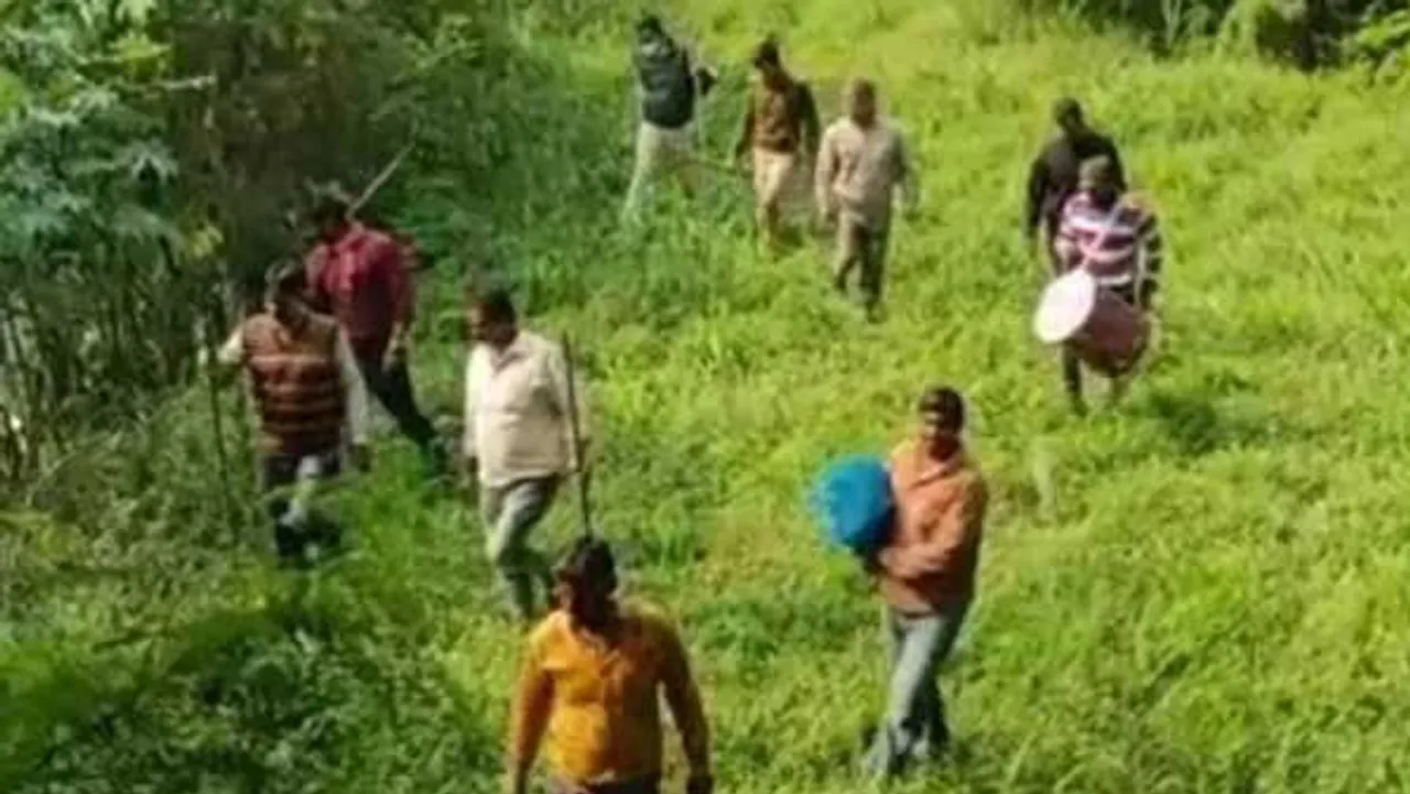 इंदौर का 'रहस्यमयी' तेंदुआ: ढोल बजाकर की गई तलाश, सवाल- आखिर कहां गया?